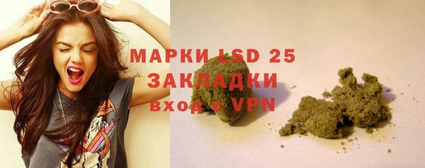 хмурый Алексеевка