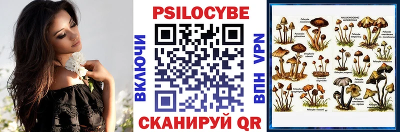 Галлюциногенные грибы мицелий  площадка клад  Исилькуль  гидра ТОР 